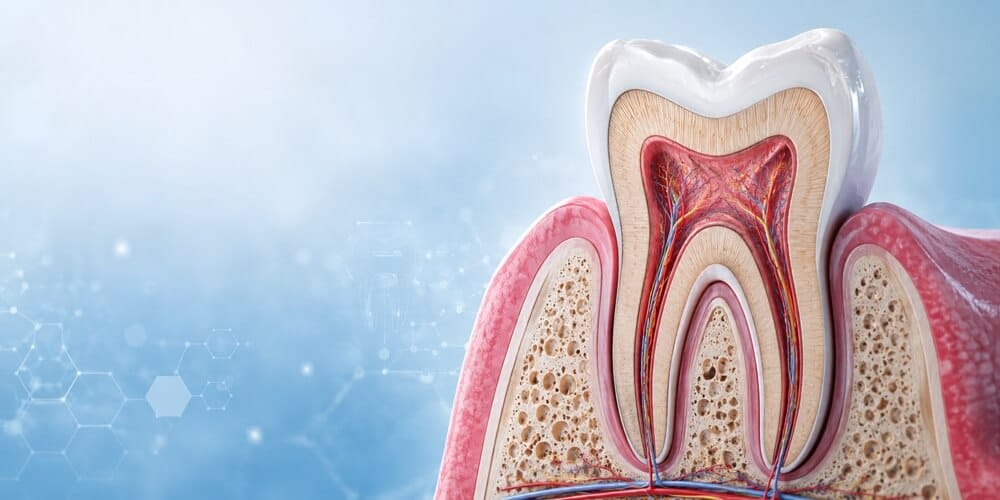 Odontoiatria restaurativa in Turchia: otturazioni, corone e faccette